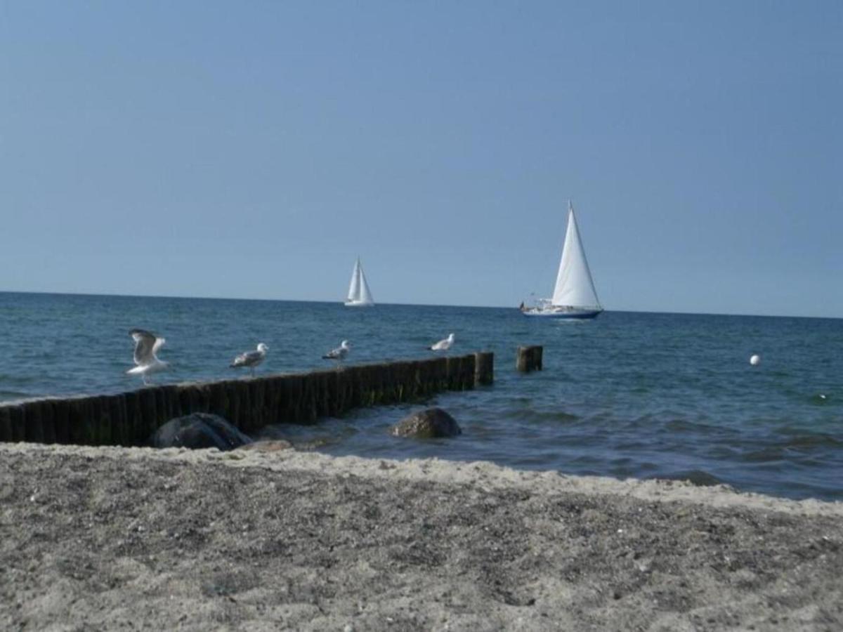 Residenz Seestern Ostseebad Kühlungsborn 外观 照片